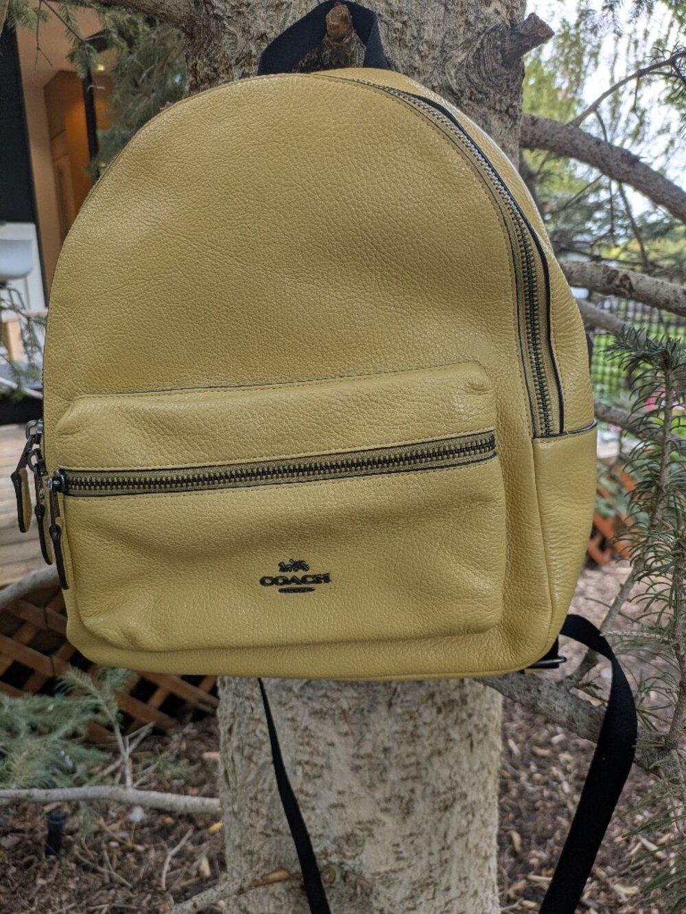 Authentic Coach Medium Charlie Backpack Pebble Leather Yellow Honey F30550